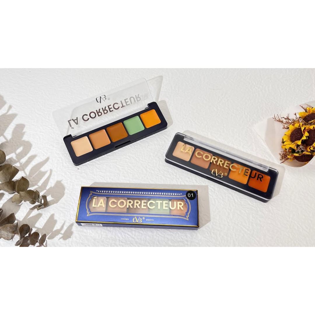 CVB 5 Color Concealer Kit
